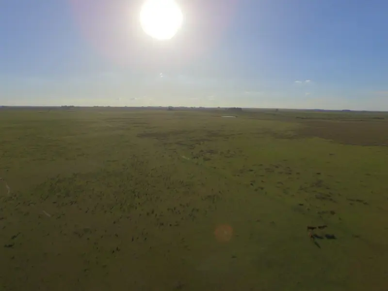 Campo mixto de 110 ha a 23 km de Mercedes: foto 5 de 10
