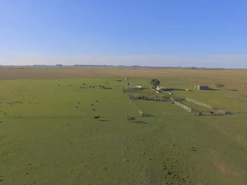 Campo mixto de 110 ha a 23 km de Mercedes: foto 6 de 10