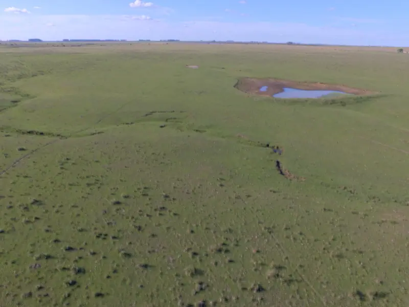 Campo mixto de 110 ha a 23 km de Mercedes: foto 7 de 10