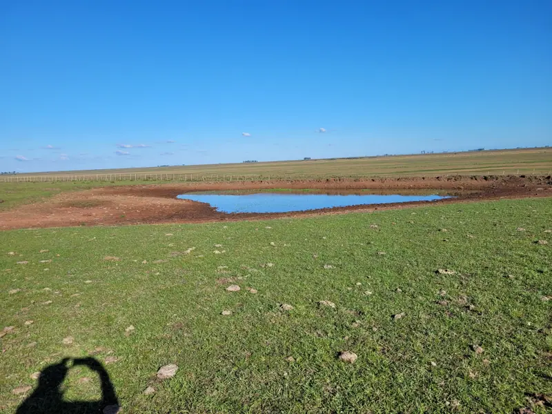 Campo mixto de 110 ha a 23 km de Mercedes: foto 9 de 10