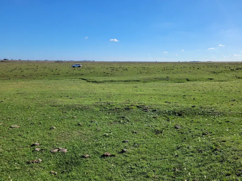 Campo mixto de 110 ha a 23 km de Mercedes: foto 10 de 10