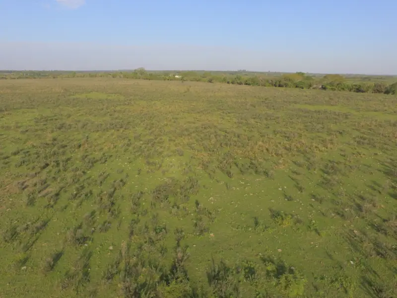 Campo de 55,62 ha con suelo clase II en Colonia Brougnes: foto 2 de 2
