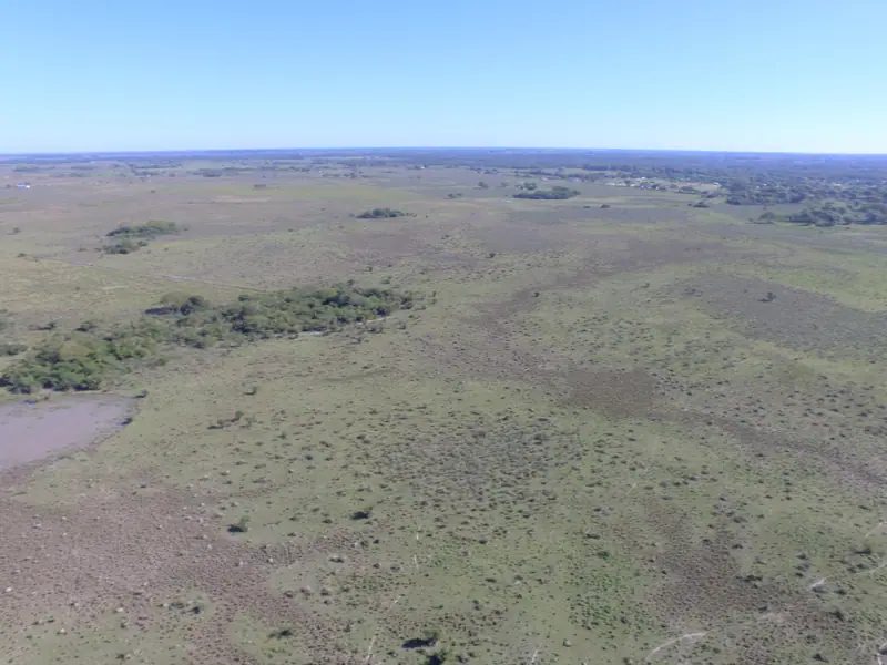 Campo de 310 ha a 2 km de San Lorenzo: foto 3 de 7