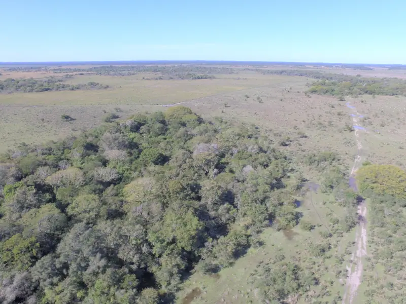 Campo de 310 ha a 2 km de San Lorenzo: foto 4 de 7