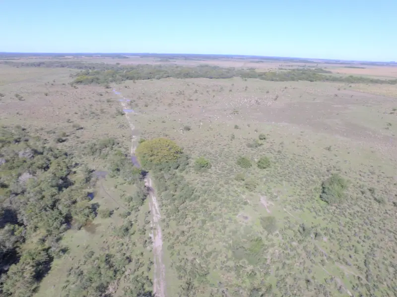 Campo de 310 ha a 2 km de San Lorenzo: foto 5 de 7