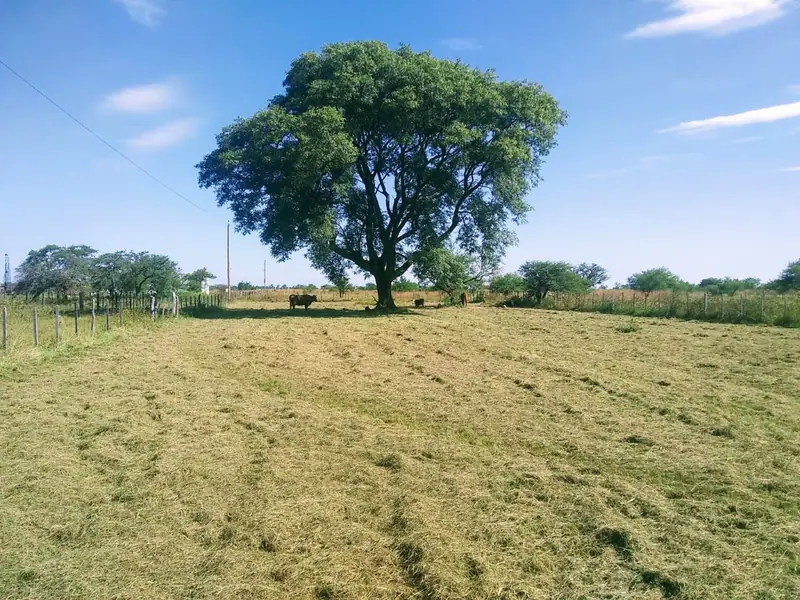 Lotes de 25 x 25 m en Barrio Los Aromos, Mercedes: foto 2 de 5