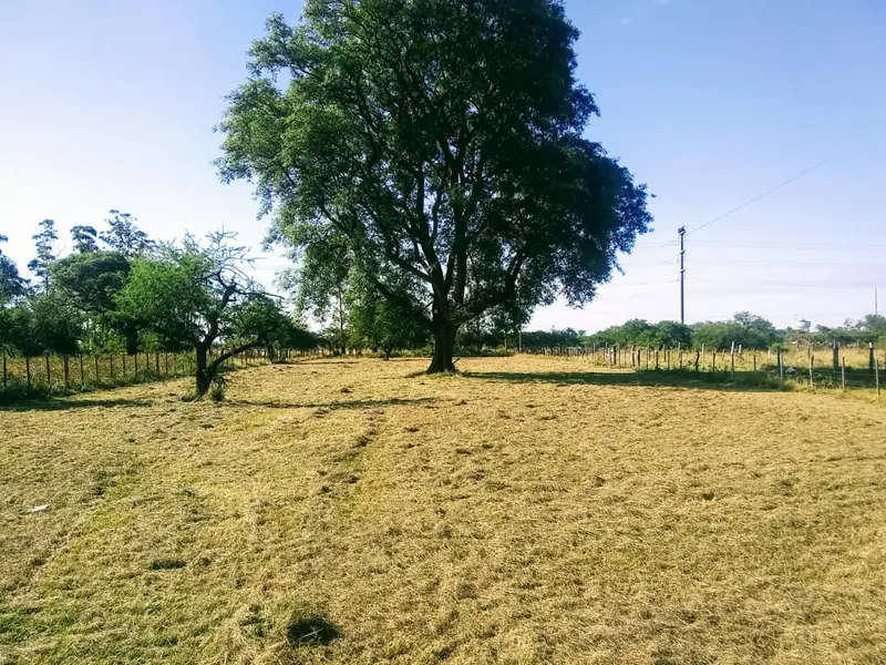Lotes de 25 x 25 m en Barrio Los Aromos, Mercedes: foto 4 de 5