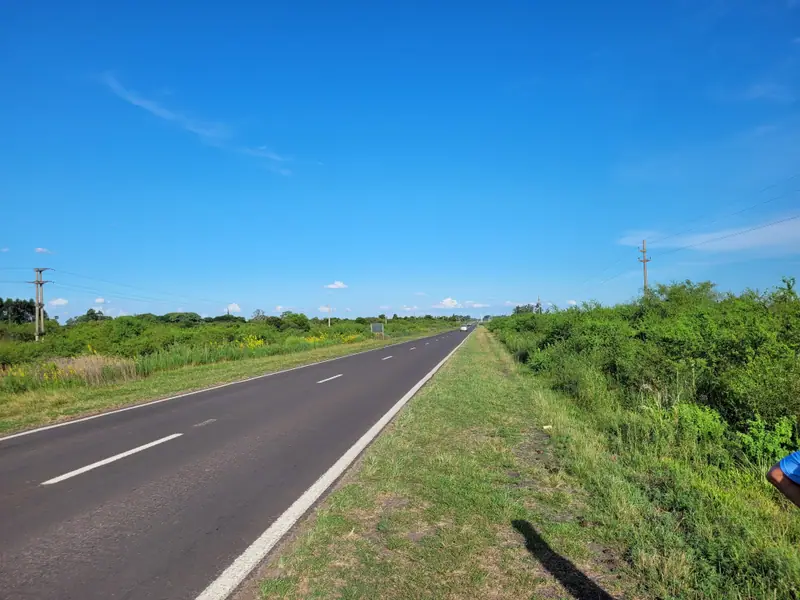 Fracción de 25 ha sobre Ruta 123 en la entrada norte de Mercedes: foto 4 de 11