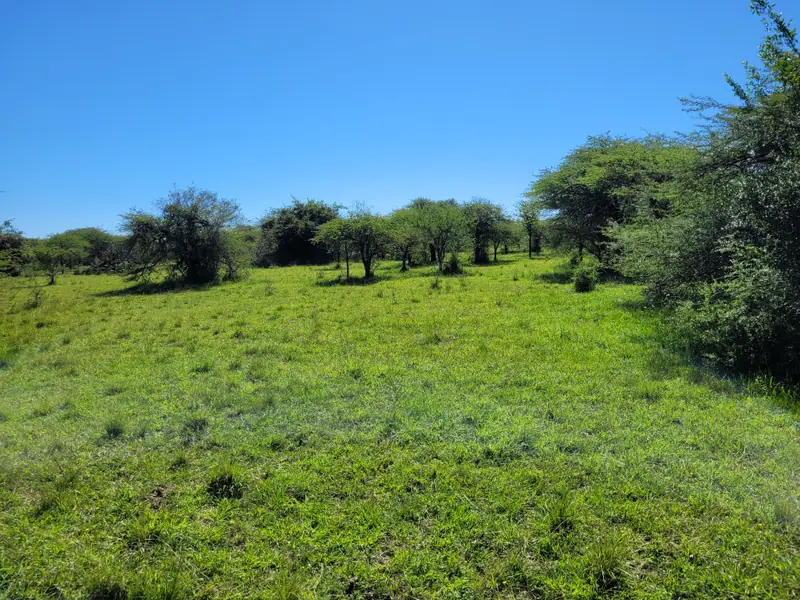 Campo de 2.050 ha ganadero y recreativo en Mercedes: foto 3 de 15