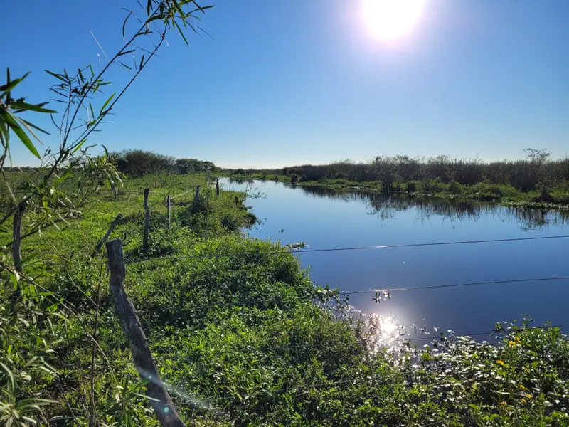 Campo de 2.050 ha ganadero y recreativo en Mercedes: foto 4 de 15