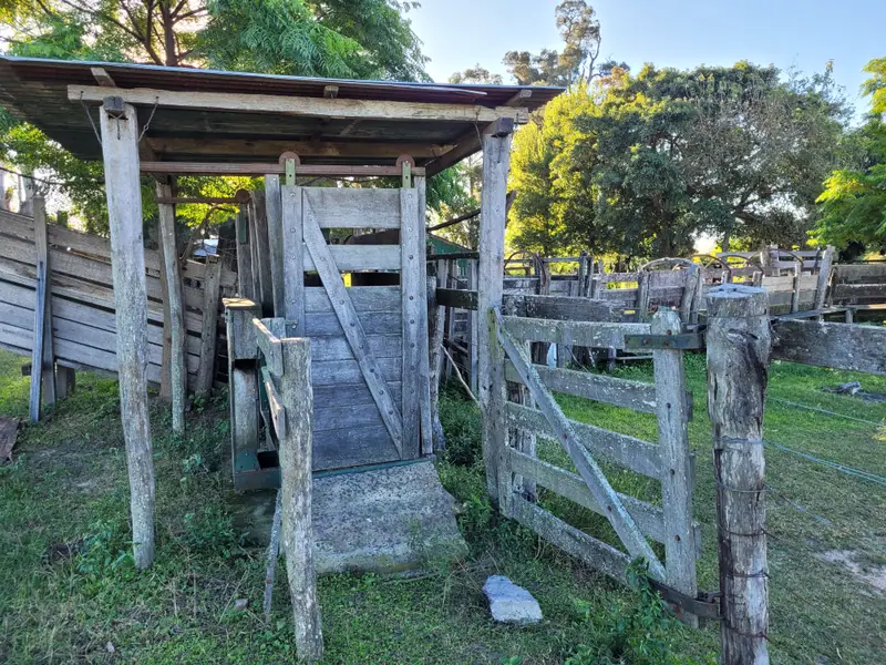 Campo de 2.050 ha ganadero y recreativo en Mercedes: foto 5 de 15