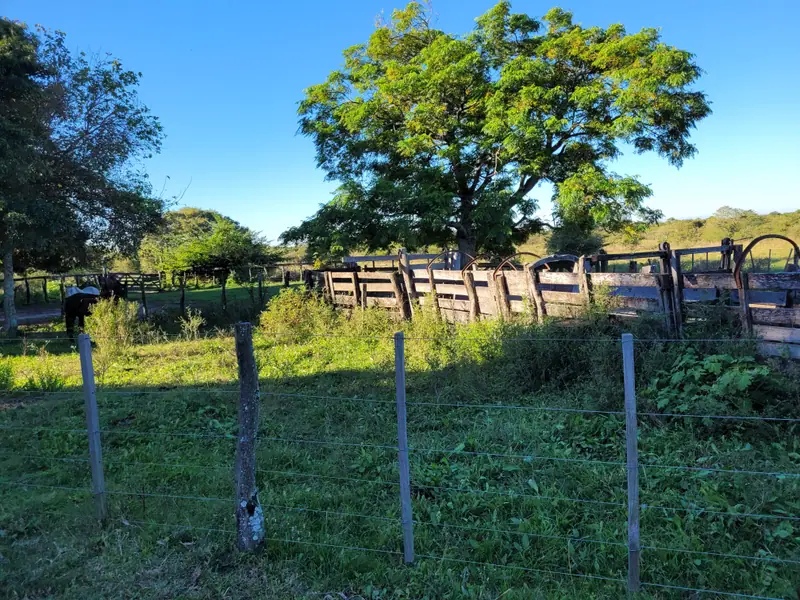 Campo de 2.050 ha ganadero y recreativo en Mercedes: foto 6 de 15