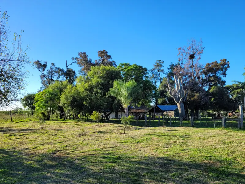 Campo de 2.050 ha ganadero y recreativo en Mercedes: foto 8 de 15