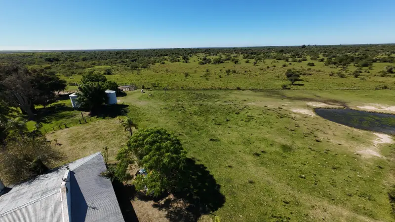 Campo de 2.050 ha ganadero y recreativo en Mercedes: foto 9 de 15