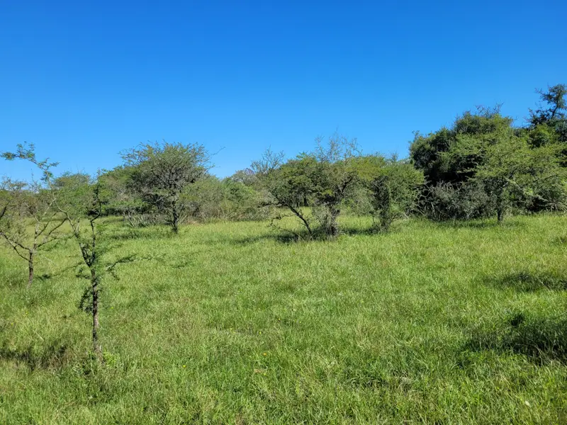 Campo de 2.050 ha ganadero y recreativo en Mercedes: foto 10 de 15