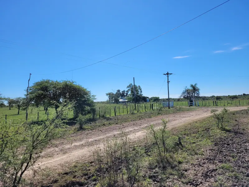 Campo de 2.050 ha ganadero y recreativo en Mercedes: foto 11 de 15