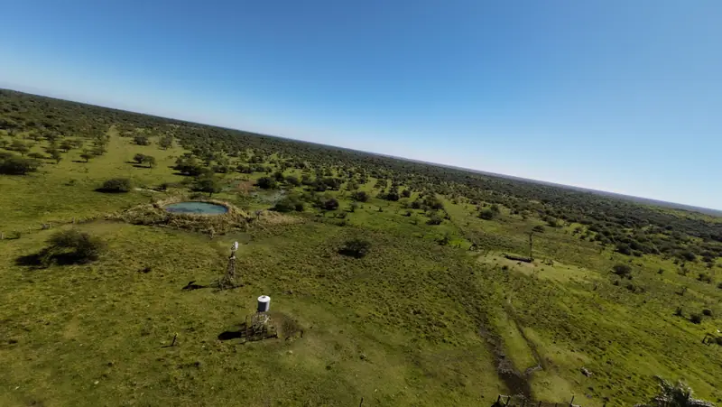 Campo de 2.050 ha ganadero y recreativo en Mercedes: foto 12 de 15