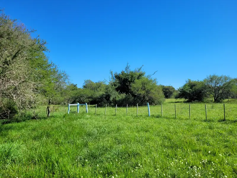 Campo de 2.050 ha ganadero y recreativo en Mercedes: foto 14 de 15