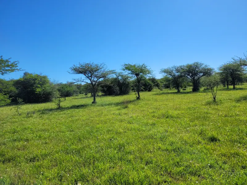 Campo de 2.050 ha ganadero y recreativo en Mercedes: foto 15 de 15