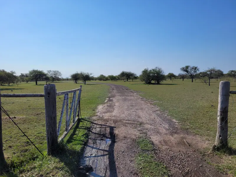 Campo ganadero de 131 ha sobre Ruta Nacional 123 en Felipe Yofre: foto 2 de 12