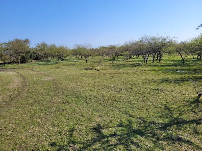 Campo ganadero de 131 ha sobre Ruta Nacional 123 en Felipe Yofre: foto 3 de 12