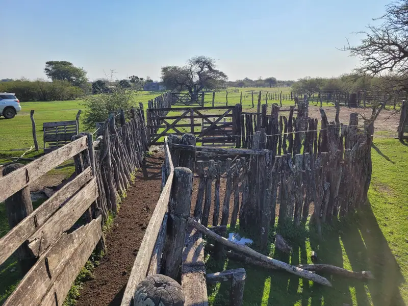 Campo ganadero de 131 ha sobre Ruta Nacional 123 en Felipe Yofre: foto 8 de 12