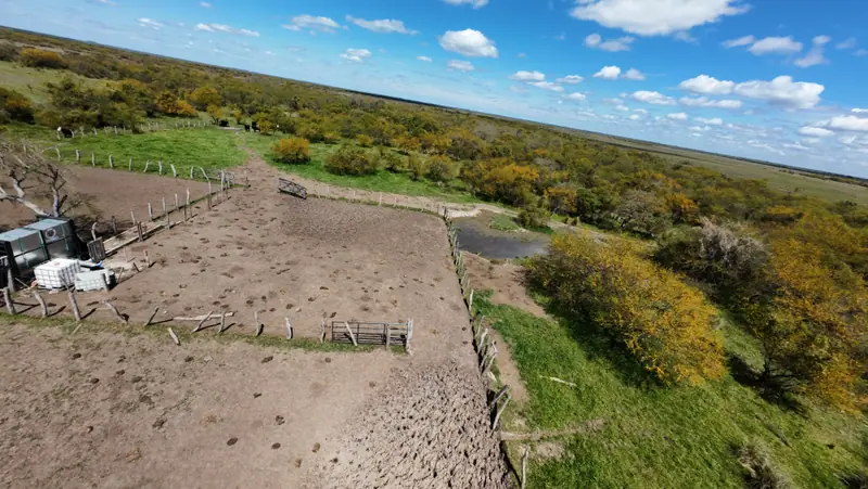 Campo mixto de 1.262 ha con casco y mejoras en La Paz: foto 4 de 15