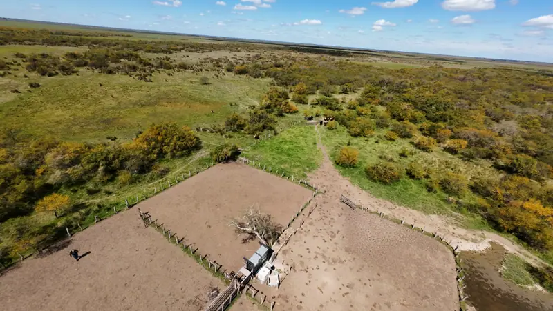 Campo mixto de 1.262 ha con casco y mejoras en La Paz: foto 5 de 15