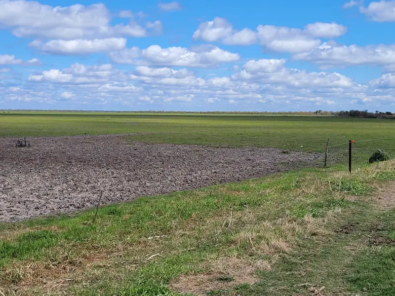 Campo mixto de 1.262 ha con casco y mejoras en La Paz: foto 7 de 15