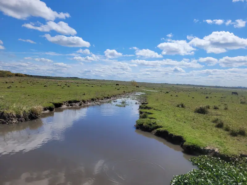 Campo mixto de 1.262 ha con casco y mejoras en La Paz: foto 12 de 15