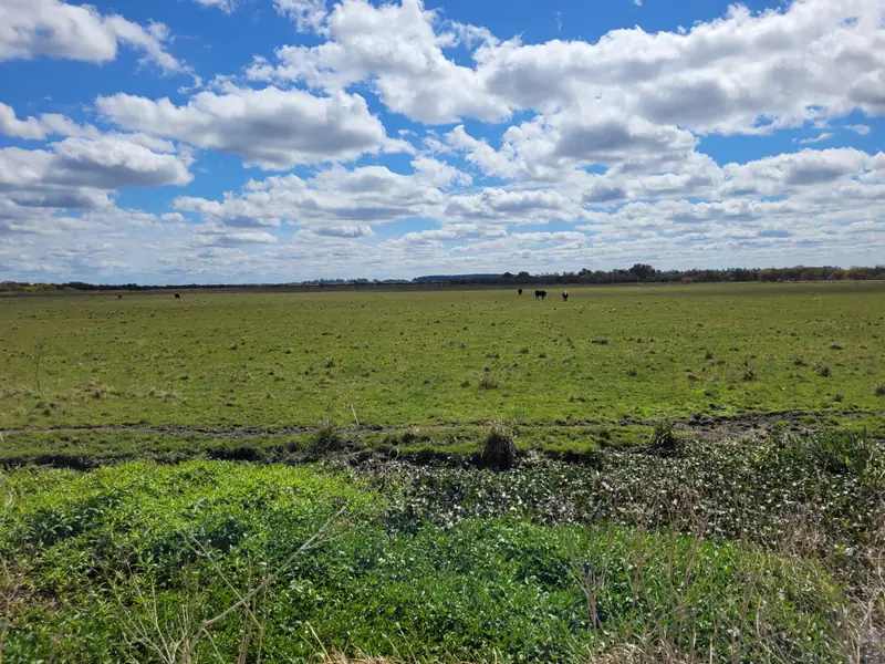 Campo mixto de 1.262 ha con casco y mejoras en La Paz: foto 14 de 15